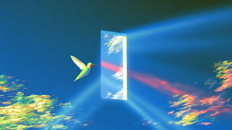 A hummingbird flying toward a floating mirrored door, beams of light crossing blurred flowers
